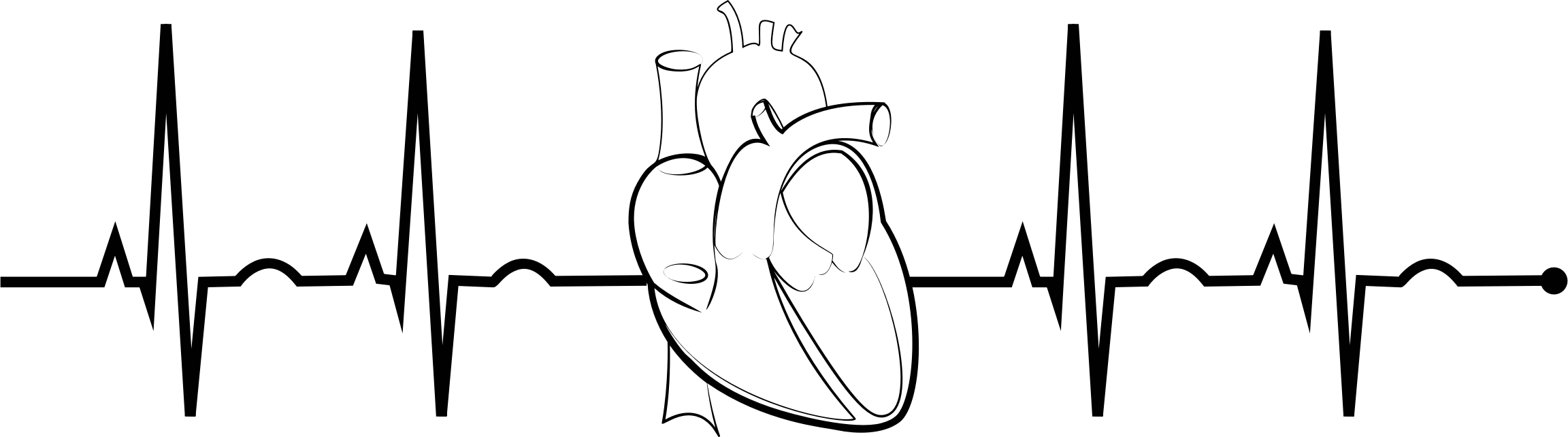 Ekg Realistic Heart Png Free Stock - Ekg Clipart - Free Transparent PNG ...