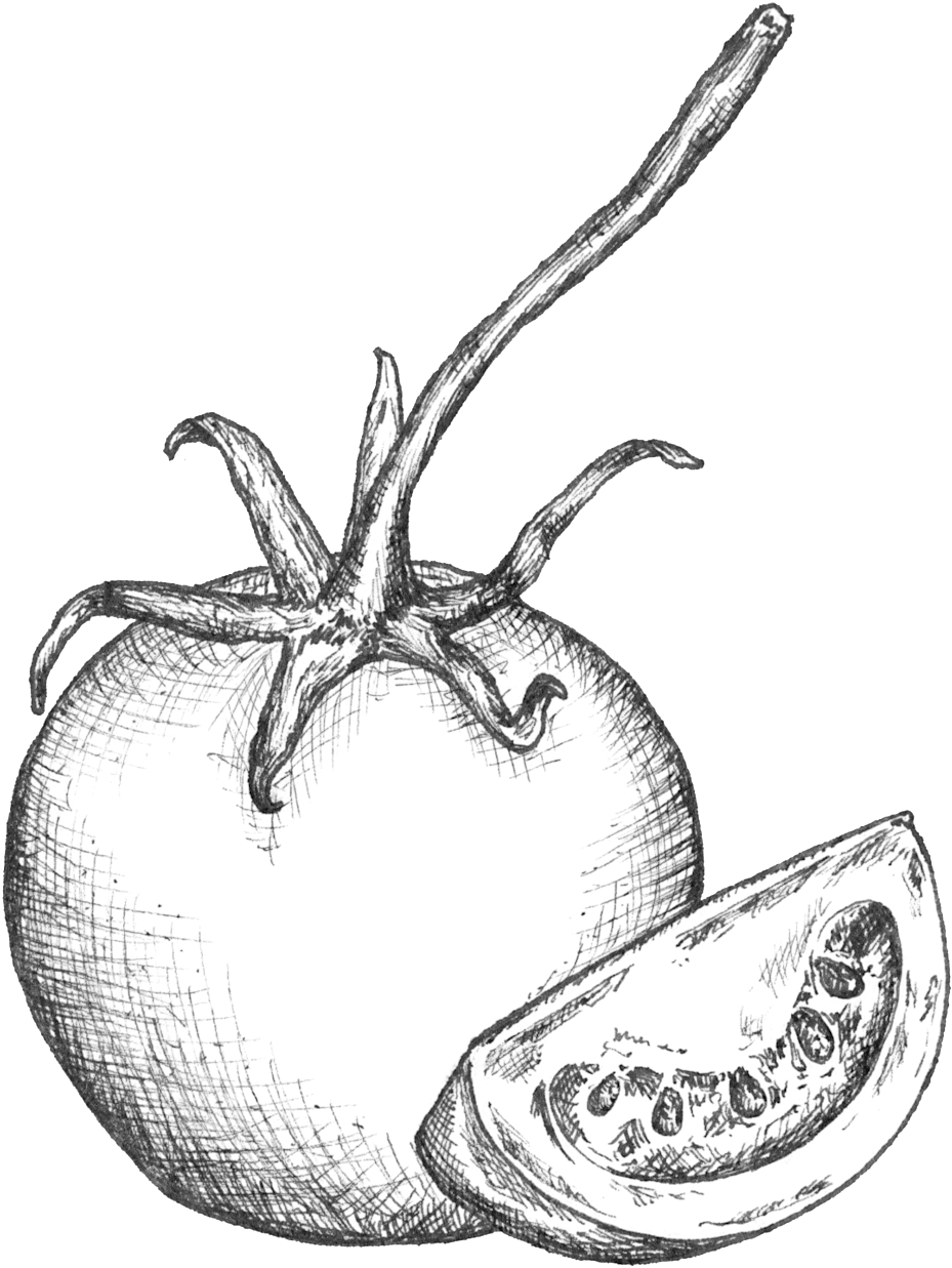 Tomato Linedrawing - Portable Network Graphics (1000x1276), Png Download