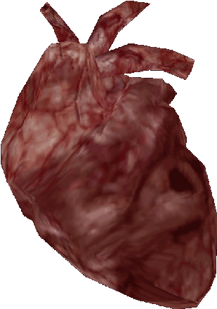 Beating Heart - Daedra Heart Oblivion (400x497), Png Download