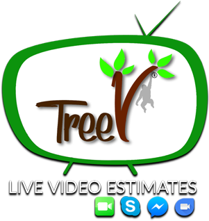 Schedule Your Free Estimate With Treev™ Live Video - Tree (325x450), Png Download