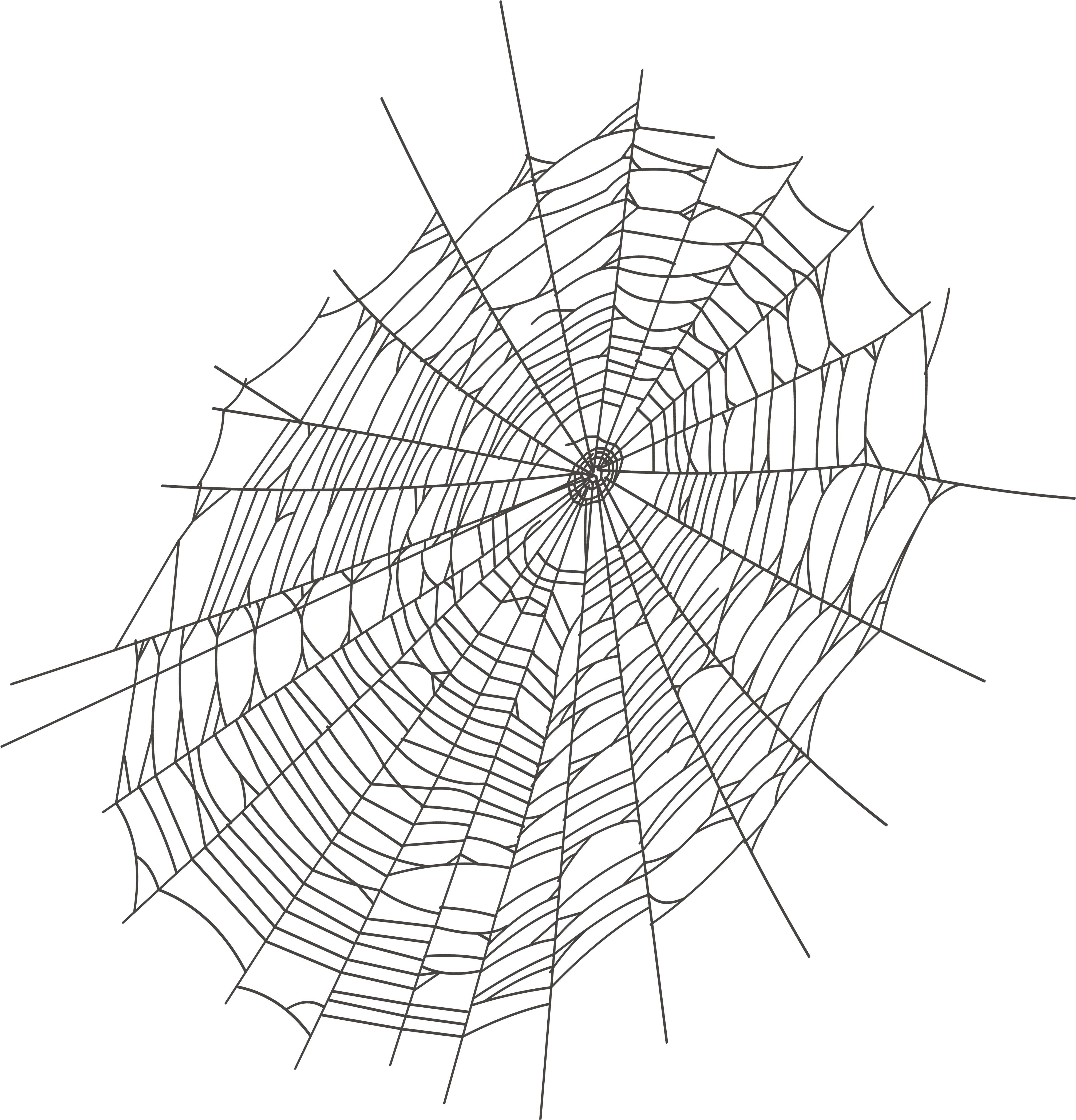 Halloween Large Spider Web Png Clipart - Transparent Spider Web Clipart (4179x4331), Png Download