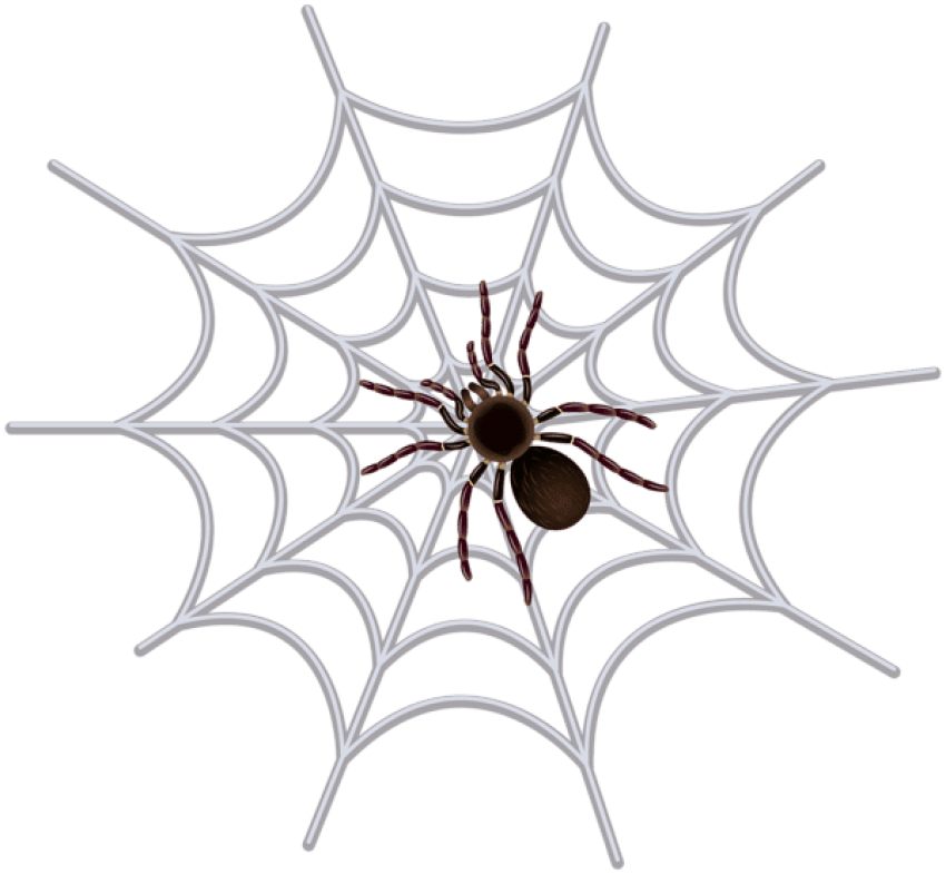 Black And White Download Spider Clip Art Image Halloween - Halloween Spider Web Png (600x554), Png Download