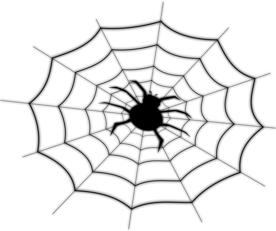 Spider Web Spider-man Drawing Line Art - Spider Line Drawing (899x750), Png Download