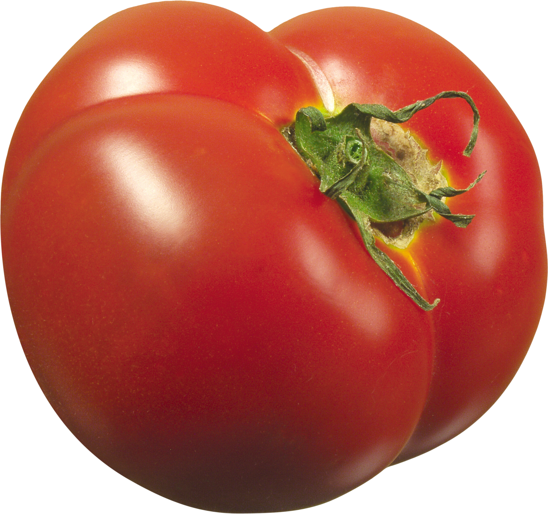 Tomato Png Images Free Download Jpg Transparent Stock - Tomato (1785x1674), Png Download