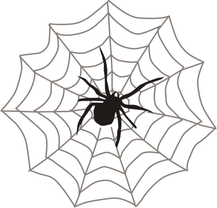 Imagem Gratis No Pixabay - Spider Clipart (752x720), Png Download