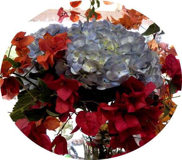 The Hydrangeas In The Top Photo Don't Grow Here - Artificial Flower (587x516), Png Download