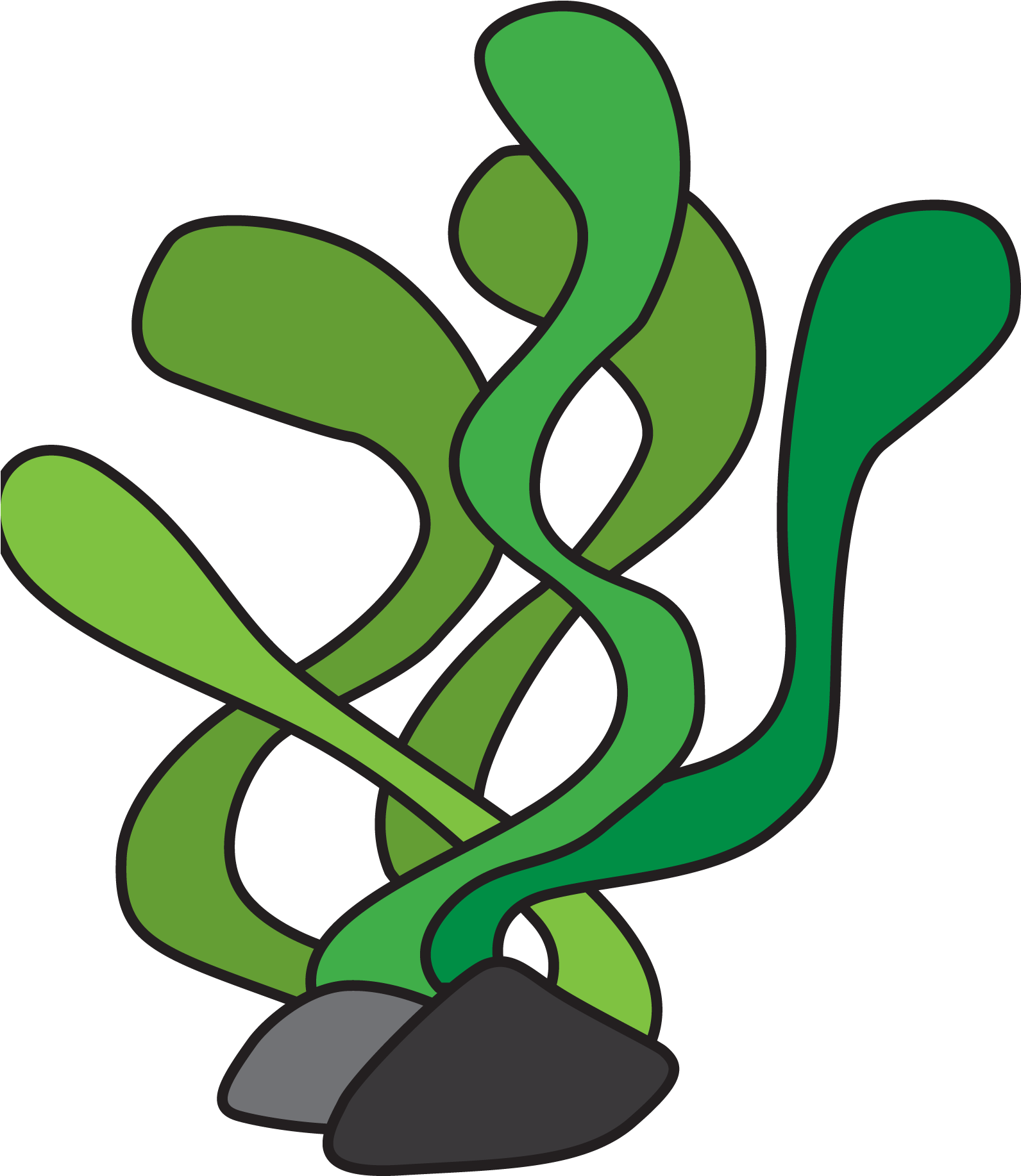 Free Fish Seaweed Cliparts, Download Free Clip Art, - Underwater Plant Clipart (1608x1834), Png Download