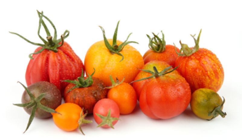 Heirloom Tomatoes Png (800x800), Png Download