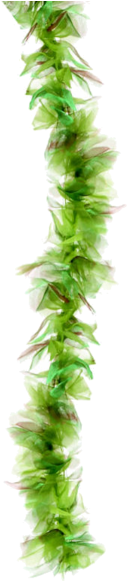 Seaweed Boa " Name="og Description - Seaweed Boa (366x580), Png Download