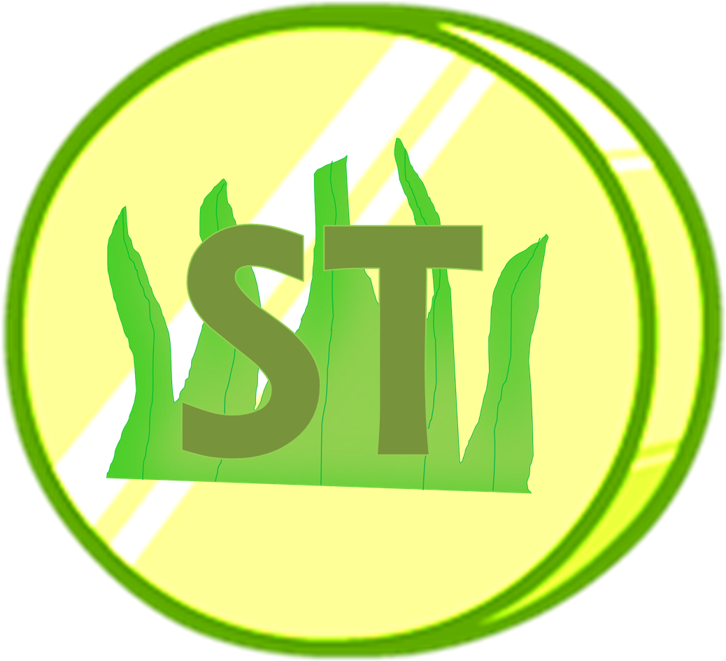 Seaweed Token - Advantage Chiropractic (1110x962), Png Download