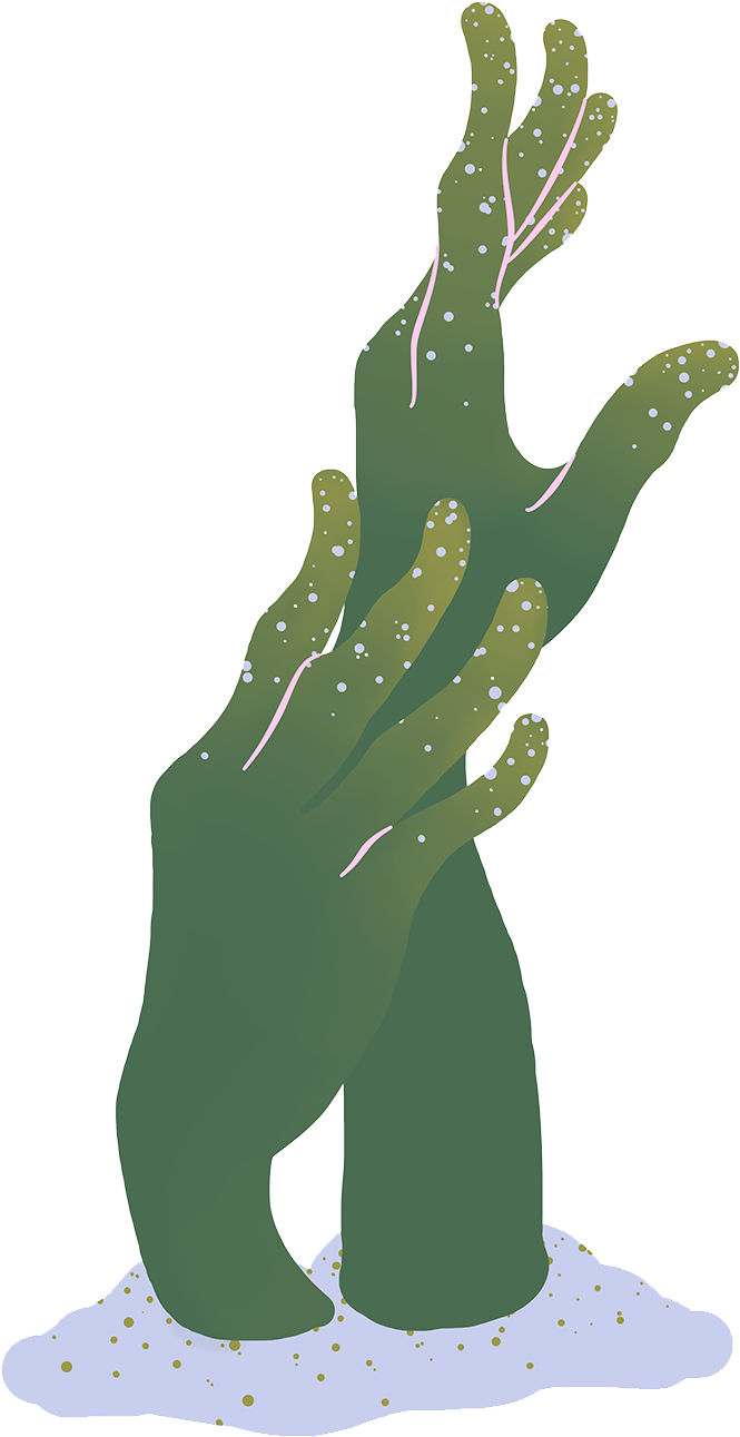 Illustration (800x1344), Png Download