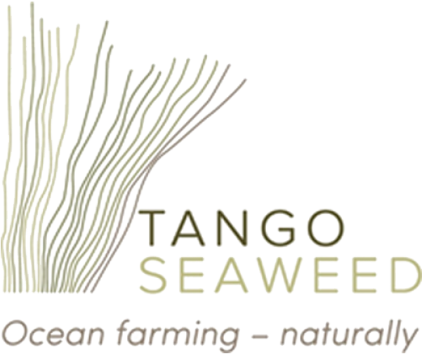 Tango Seaweed - Adobe Photoshop Essentials Course Sydney Cd (600x600), Png Download