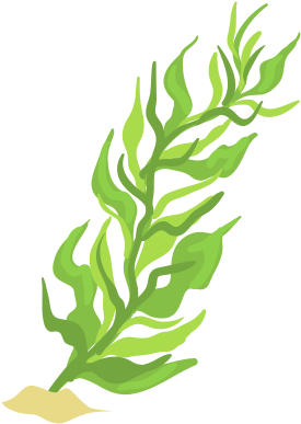 Download Vector Transparent Download Cartoon - Algae Sea Cartoon Png PNG Image with No Background Download Vector Transparent Download Cartoon - Algae Sea Cartoon Png PNG Image with No Background