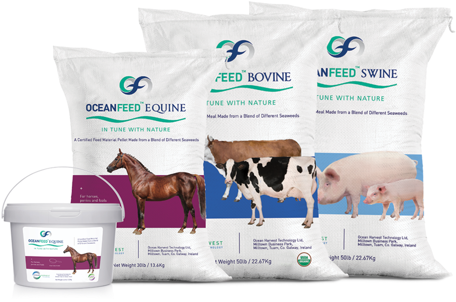 Ocean Harvest Technology Limited, Its Agents, Distributors (1000x773), Png Download