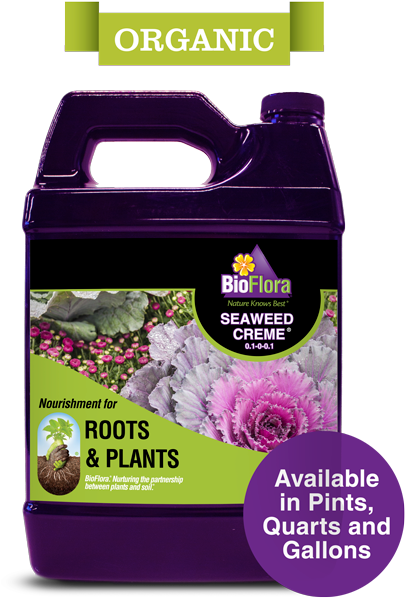 Bio Flora (550x665), Png Download