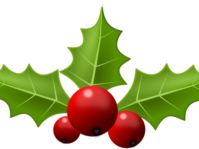 Christmas Clipart Holly - Clip Art (640x480), Png Download