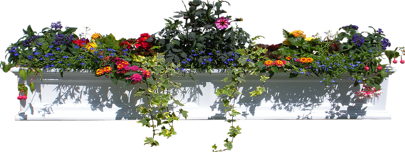 1/12 - Holiday (823x310), Png Download