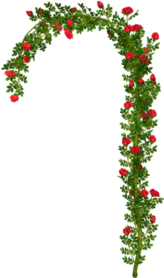 Rosebush Element Png Picture Mix Pinterest Scrap - Rose Arch Png (364x600), Png Download