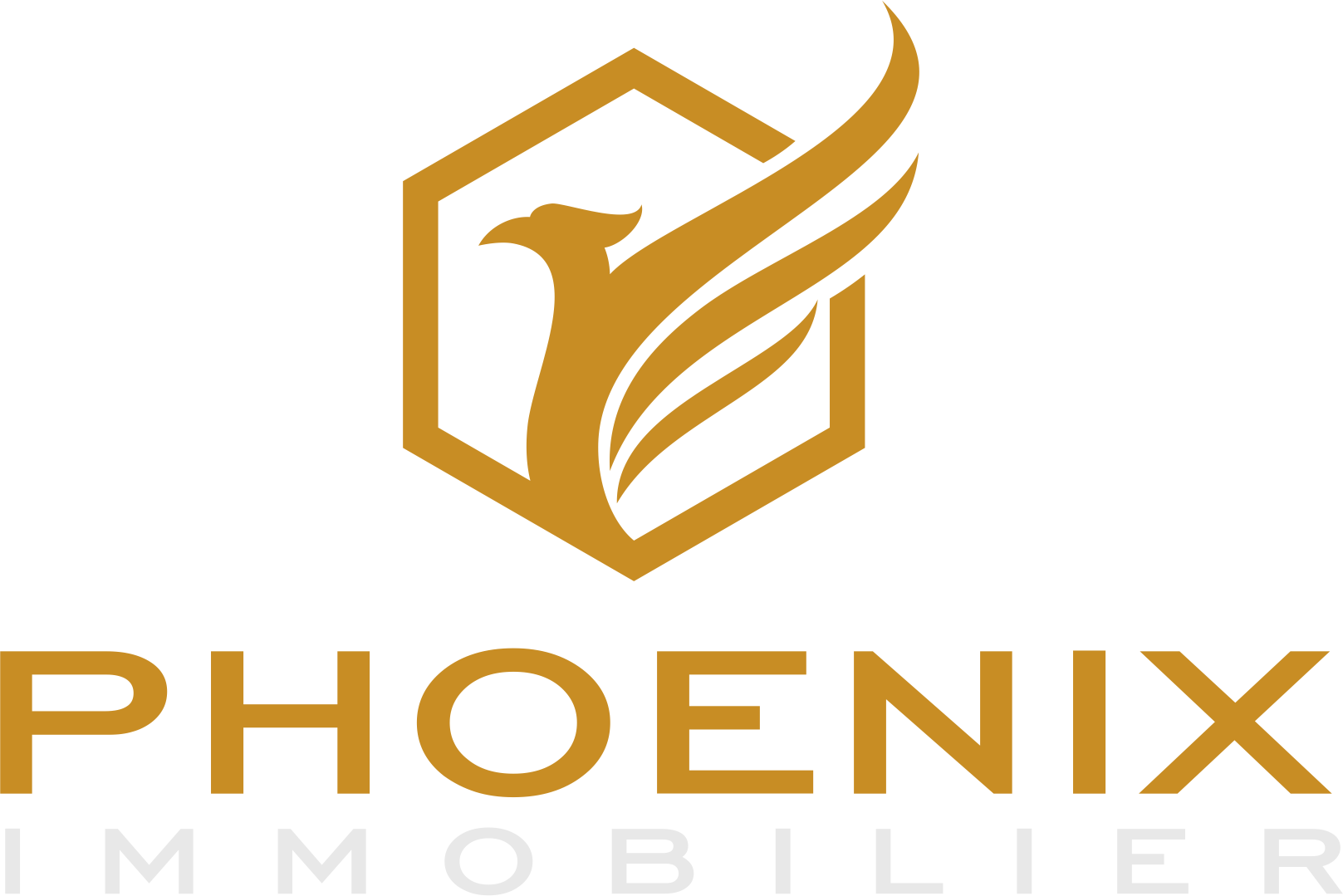 Logo - Phoenix (1617x1079), Png Download