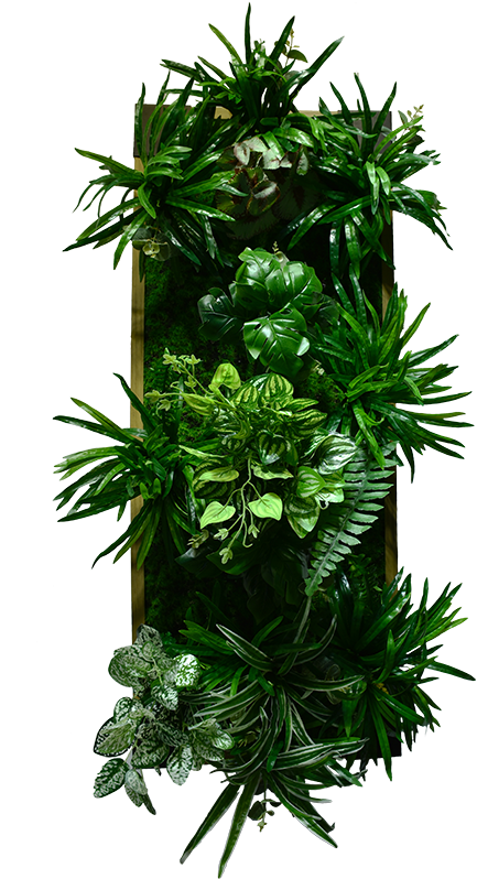 Green Wall Decoration With Frame Design Eolb11p001 - Houseplant (800x800), Png Download