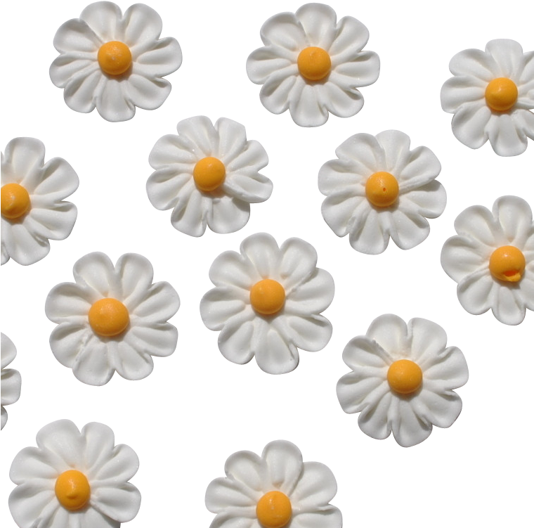 5" Royal Icing Classic Daisy - Chrysanths (759x761), Png Download