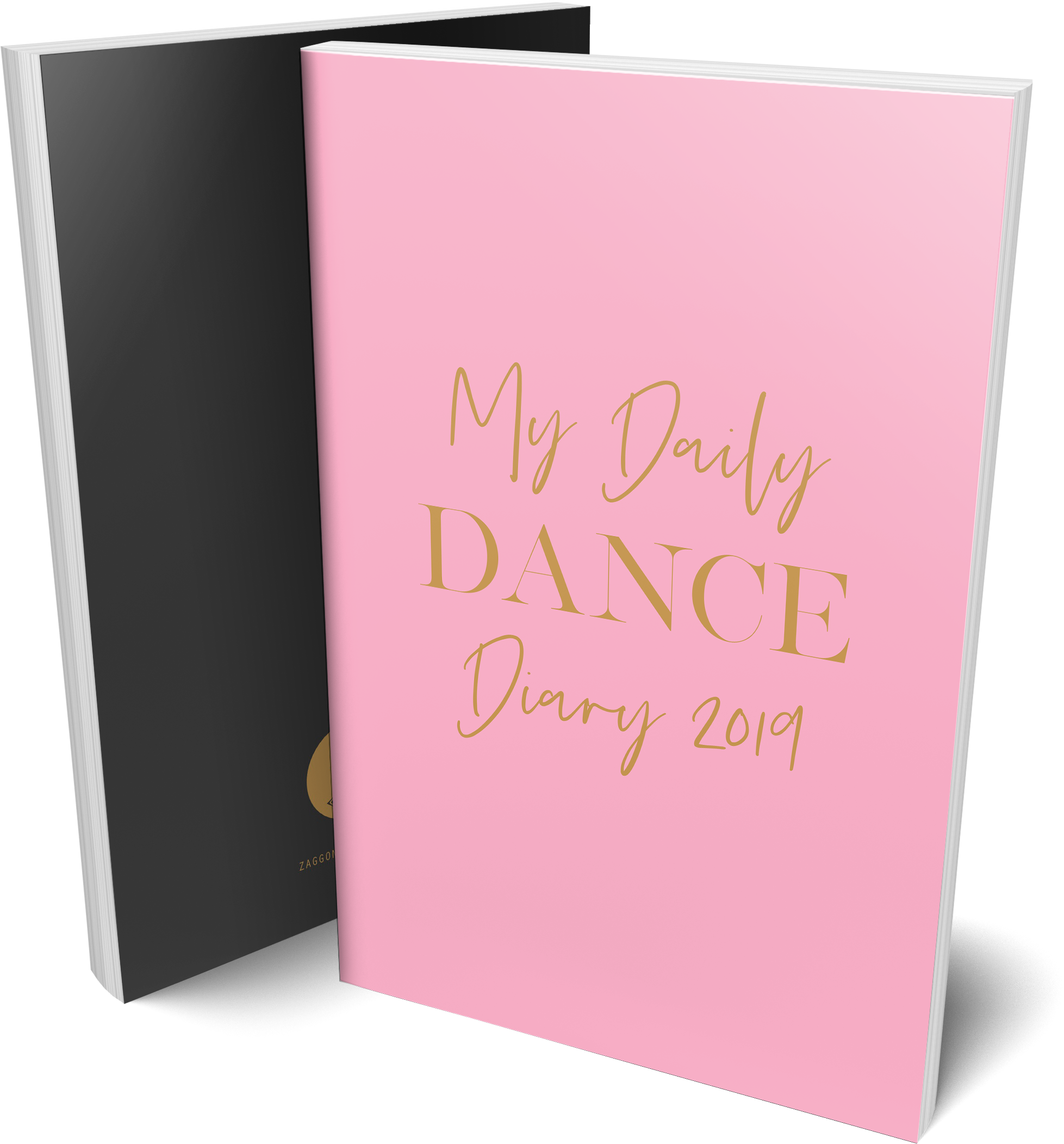 This Diary Is A Must Have For - My Daily Dance Diary 2019 (1957x2103), Png Download