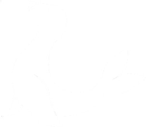Fun Cabo - Sketch (602x602), Png Download