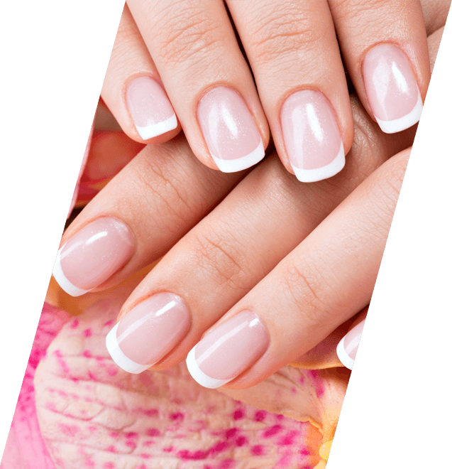Nails - French Manicure (637x660), Png Download