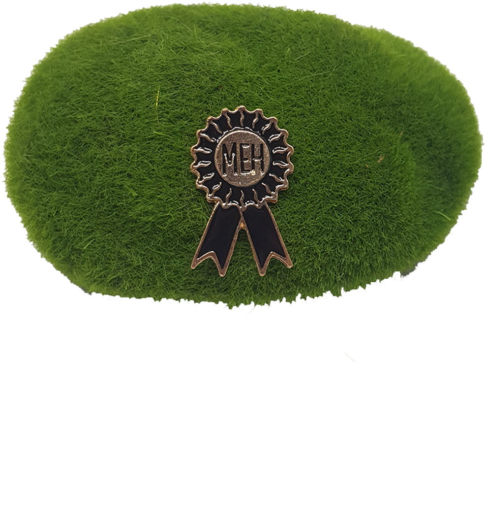 'meh' Award Ribbon Enamel Pin - Badge (1000x1500), Png Download