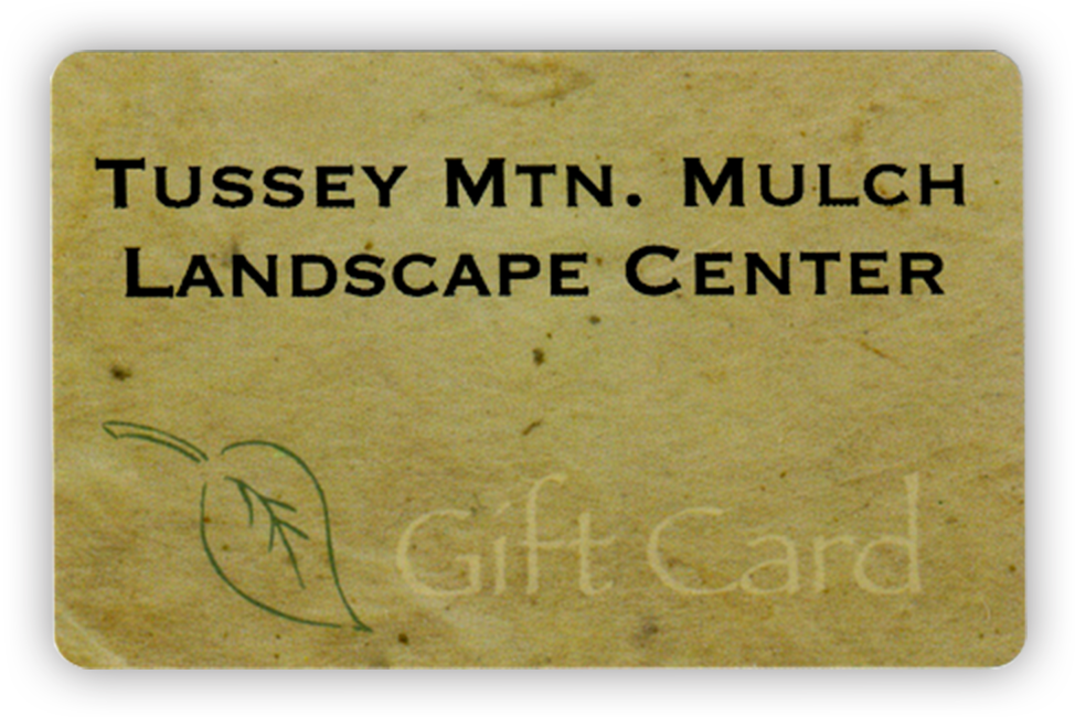 Gift Card - Centro Lakshmi (974x650), Png Download