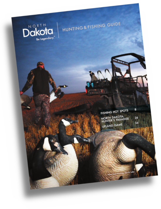 Guide - Flyer (550x715), Png Download