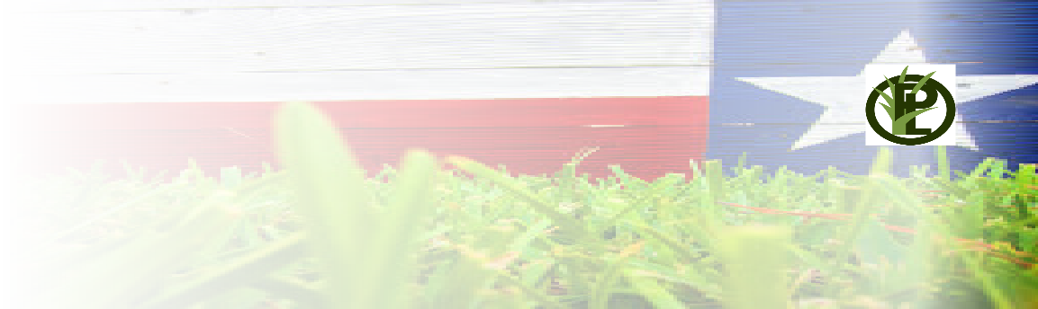 Grass (1153x344), Png Download