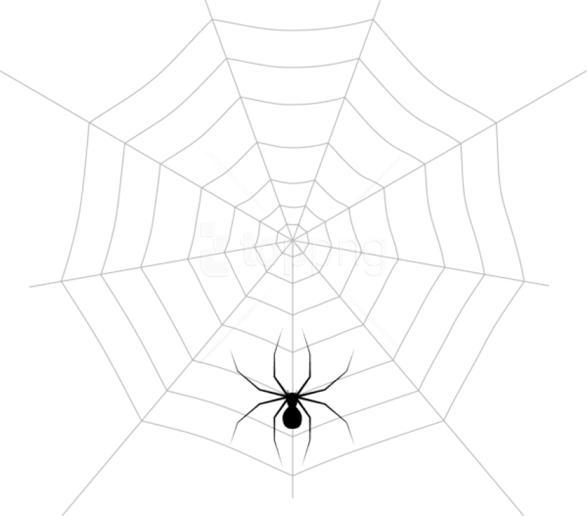 Free Png Web And Spider Png Images Transparent - Spider Web (850x747), Png Download