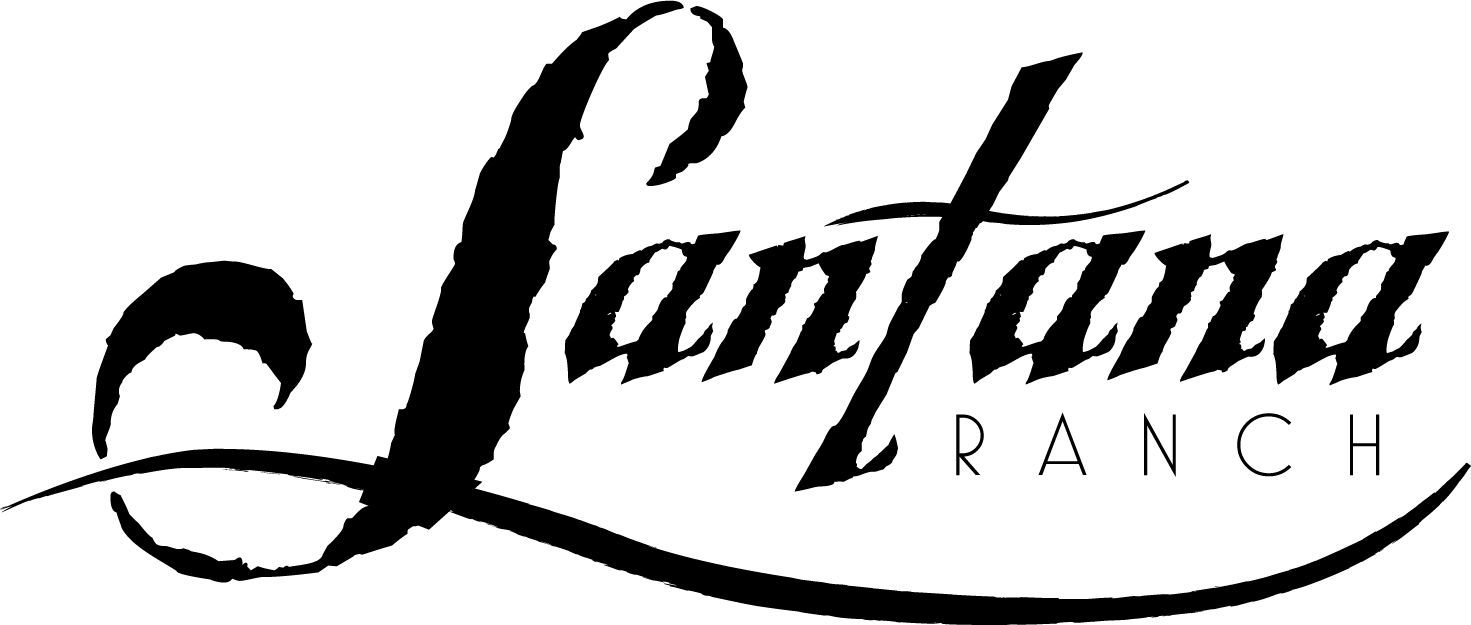Hollister Logo Png - Calligraphy (1471x625), Png Download