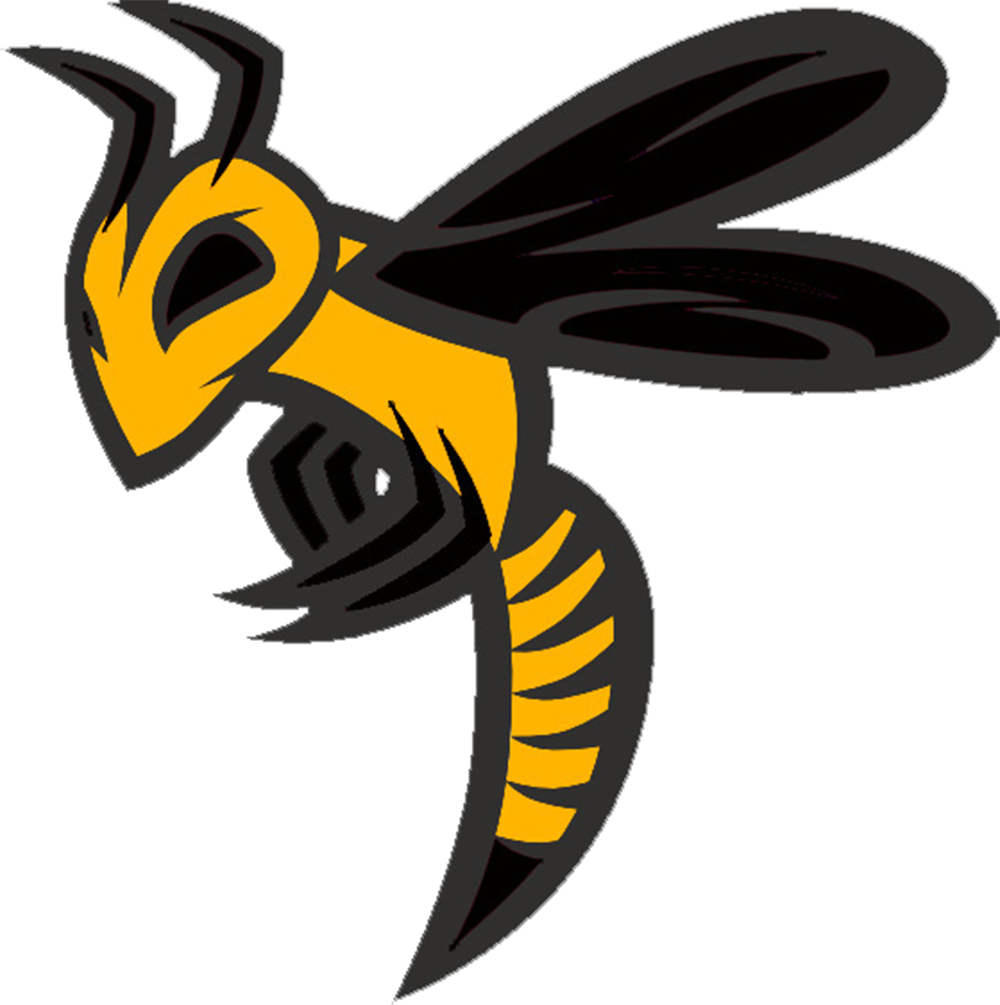 Ohio Swarm - 9u - Select Division - Current Roster - Hornet Logo (1000x1005), Png Download