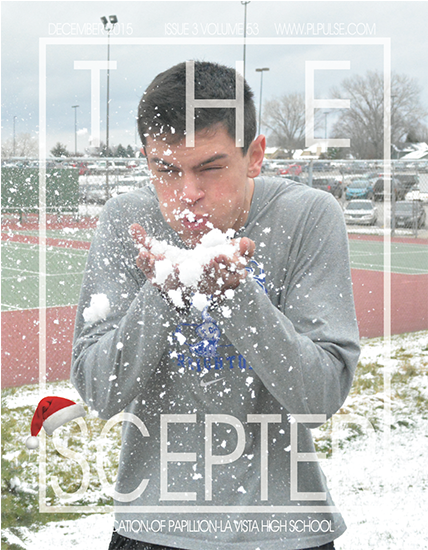 Pug (900x600), Png Download