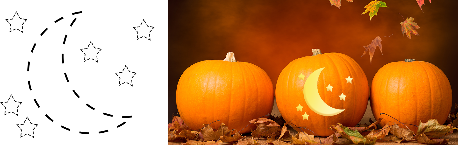 The Whole Site - Pumpkins With Cats Halloween (1920x600), Png Download