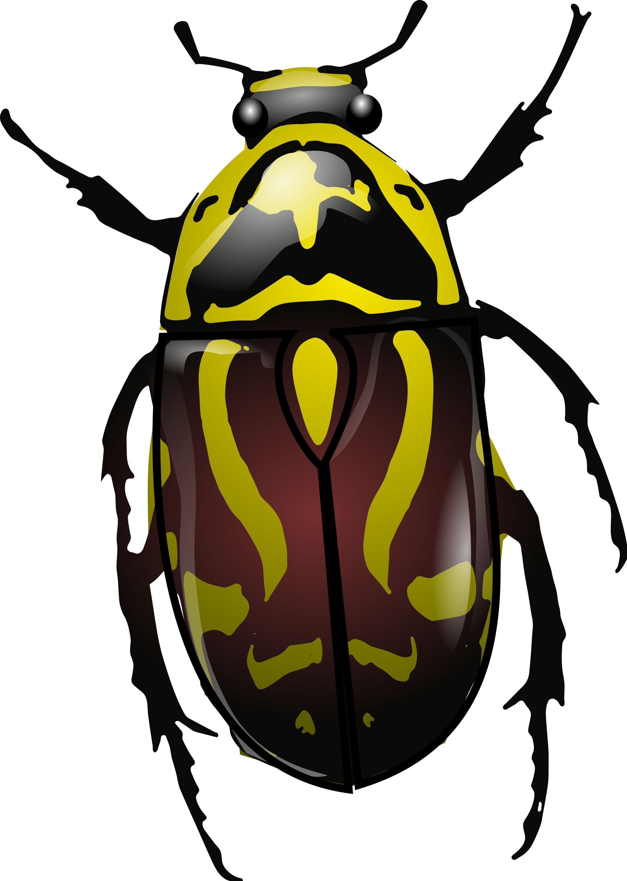 Open Pluspng - Com - Beetle Png - Fiddler Beetle (2000x2812), Png Download