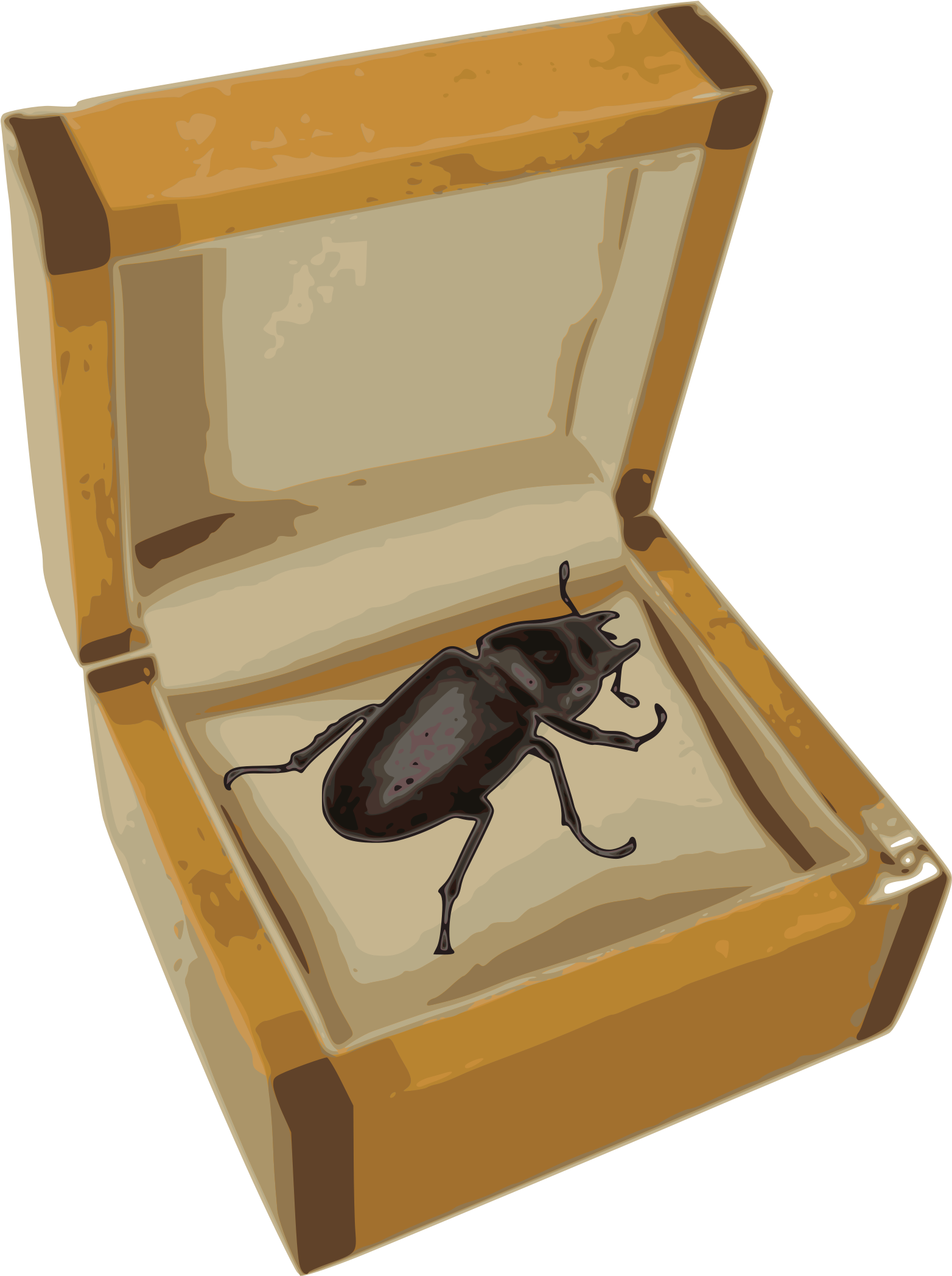 This Free Icons Png Design Of Beetle In A Box (1697x2400), Png Download