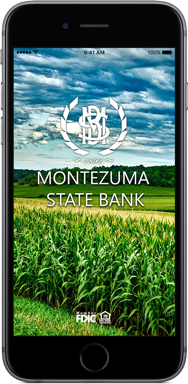 Grass (685x1324), Png Download