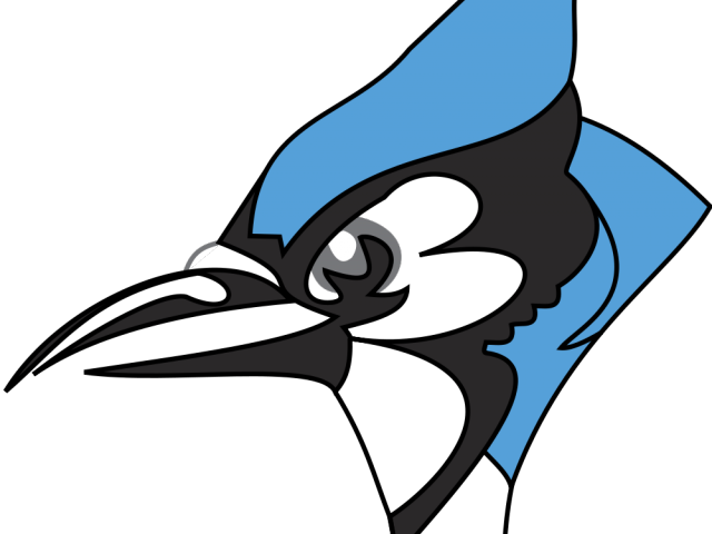 Blue Jay Clipart Johns Hopkins - Middlesex High School Blue Jays (640x480), Png Download