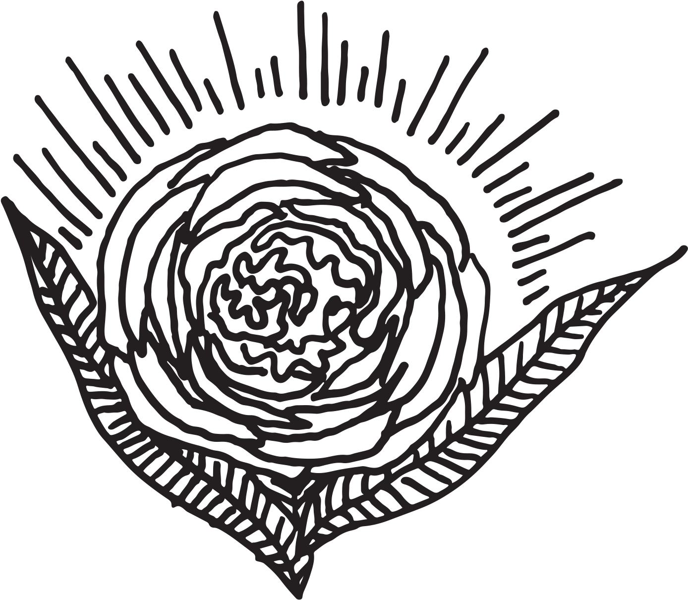 Donna And Marcos' Boho Backyard Wedding Whimsical Key - Garden Roses (1500x1500), Png Download