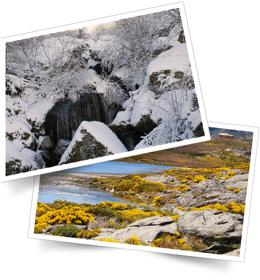 Serra Da Estrela Foto - Rock (650x602), Png Download