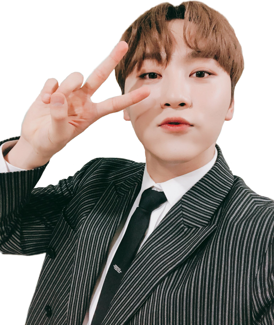 Clip Art Bss Booseoksoon Seventeen - Boo Seungkwan (940x1115), Png Download