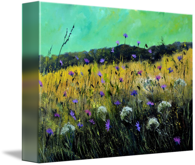 650 X 549 5 - Fernleaf Lavender (650x549), Png Download