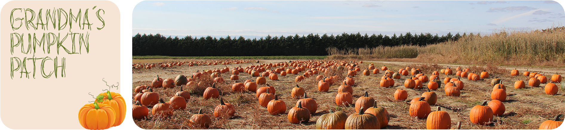 After Strolling Through The Pumpkin Patch At Grandma's - Pumpkin (1920x450), Png Download