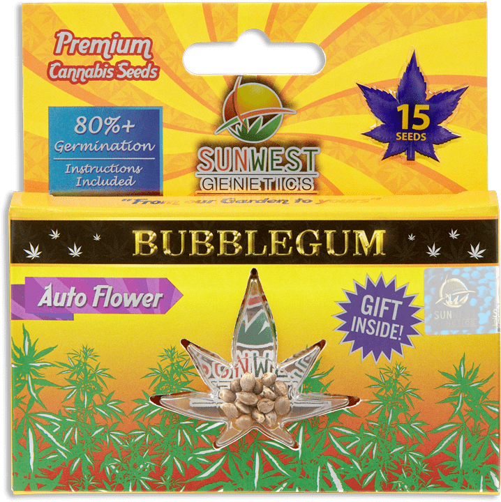 Blubblegum Seeds Sunwest - Photoimpression (800x800), Png Download
