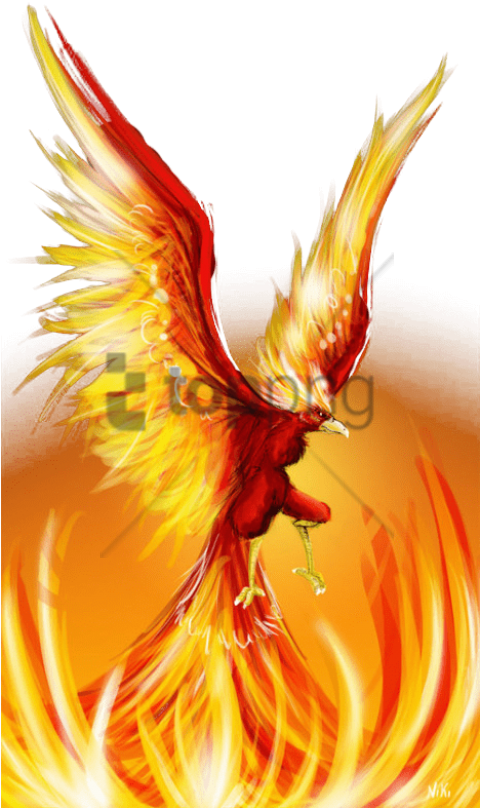Free Png Fire Phoenix Png Image With Transparent Background - Fenix Bird In Tamil (480x808), Png Download
