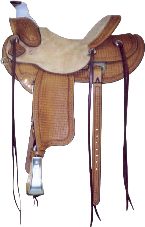Capriola Saddle - Saddle (493x765), Png Download