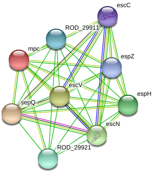 Circle (976x373), Png Download